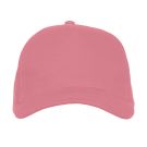 przykurzony róż (Dusty Rose)
