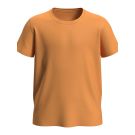 Cyber Orange (COR)