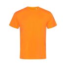 Cyber Orange (COR)