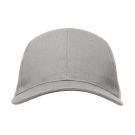 czysty szary (Pure Grey)